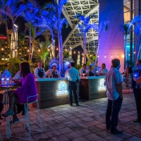 Nuevo VIP Lounge & Café Bar